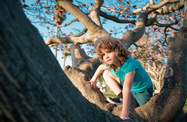 Photo kid boy sits on tree child sitting on a tree branch in summer park child climbing a tree outdoors