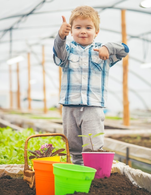 Kid child in Greenhouse