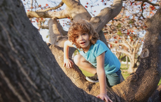 Kid child playing riding a tree branch