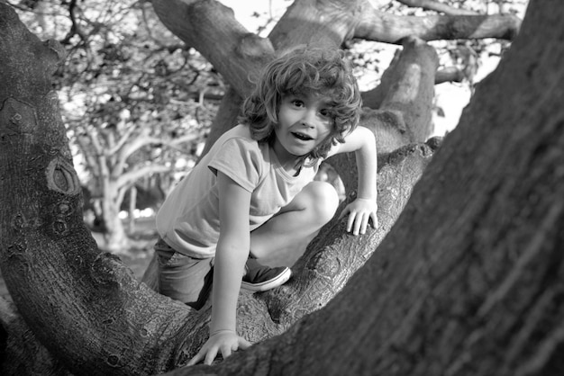 Kid child playing riding a tree branch