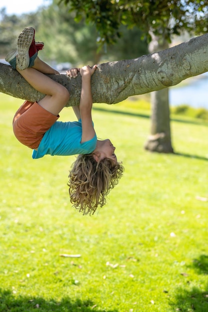 Kid climbing on a tree branch child climbs a tree