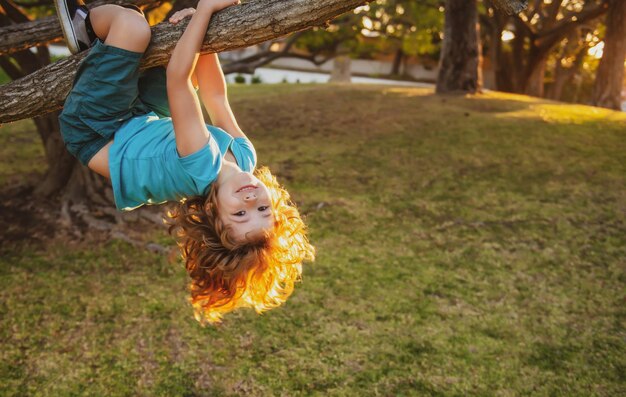 子供は庭で夏の日を楽しんで木に登る面白い登山少年幸せな少年