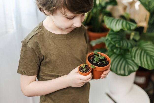 Kid gardeners potted plant