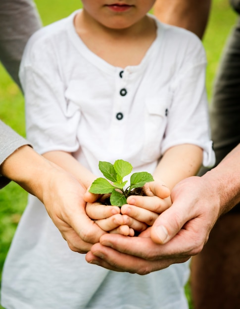 Kid Gardening Greenery Growing Leisure