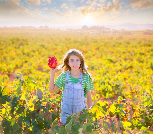 Kid girl in autumn vineyard field holding hand red leaf