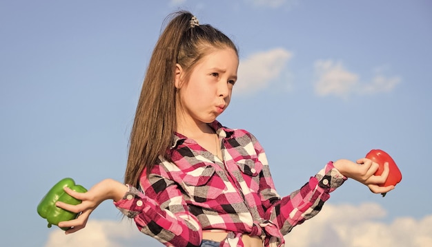 子供の女の子は赤と緑のピーマンの空の背景を保持します子供は唐辛子の種類を提示します子供は熟した唐辛子の収穫を保持します秋収穫自家製野菜どの唐辛子を選びますかベジタリアンのコンセプト