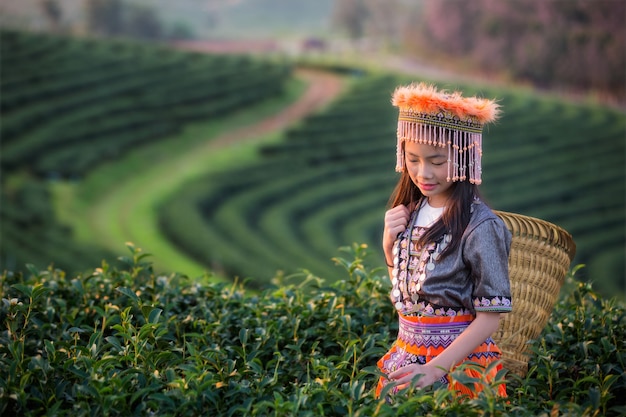 Campo di tè verde e bambino in shui fong