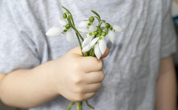 新鮮なスノードロップの花束を持っている灰色のTシャツの子供子供は指で白い花びらを持っています