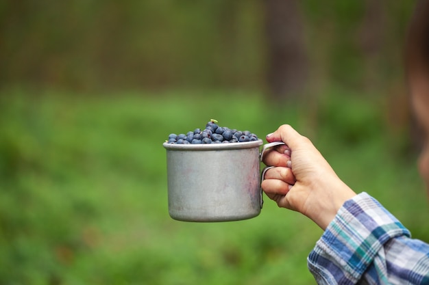Kid hand holding bowl cup of freshly picked wild blueberries against bokeh green forest background