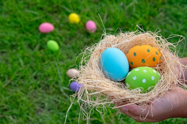 Малыш держит разноцветные пасхальные яйца в гнезде