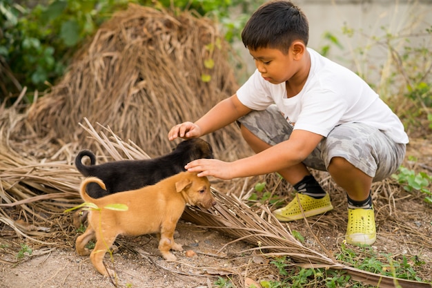 Foto kid jongen spelen met verdwaalde puppy's