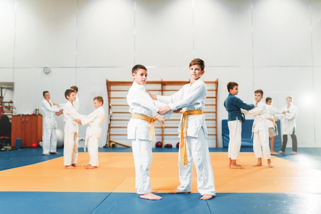子供の柔道、ホールで武道を訓練する子供たち