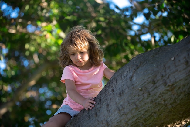 Kid klimmen in een bos. Kind speelt in een park en klimt in een boom.