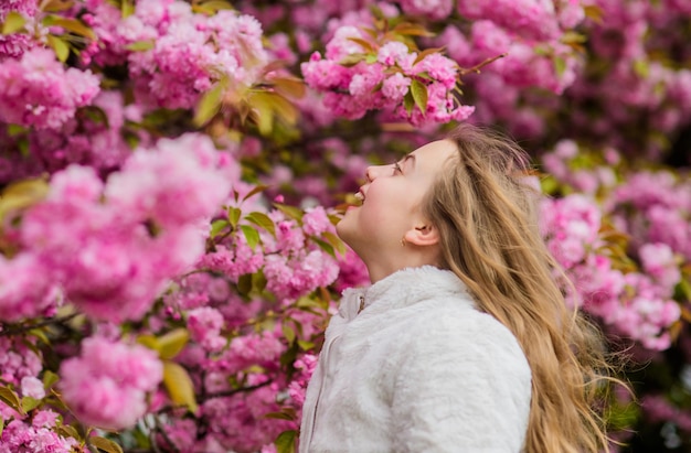 桜の木の背景のピンクの花の子供 植物学の概念 桜の花を楽しむ子供 柔らかいピンクの雲として花を嗅ぐ 子供は暖かい春を楽しむ 花の香りを楽しむ女の子