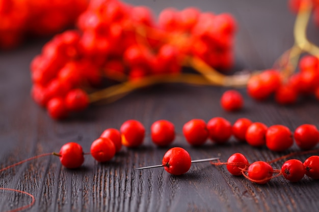 Kid seasonal play, fall bead fron berries