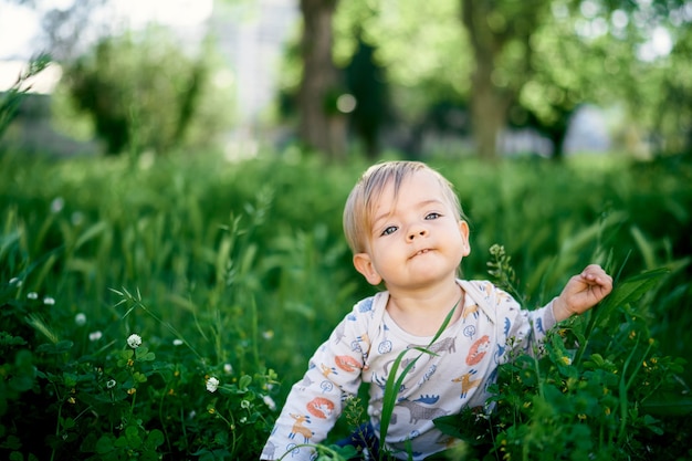 子供は野の花の間の背の高い草の中に座っています