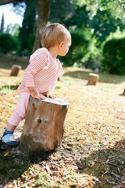 子供は庭に立って、木の切り株の背面図に手を置いています。