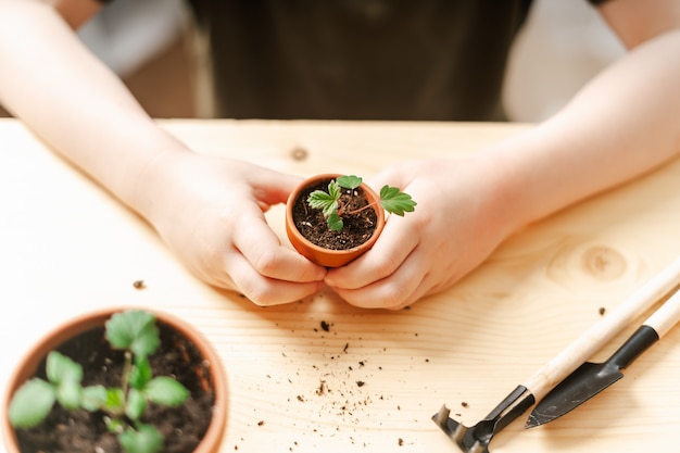 Kid tuinmannen potplant