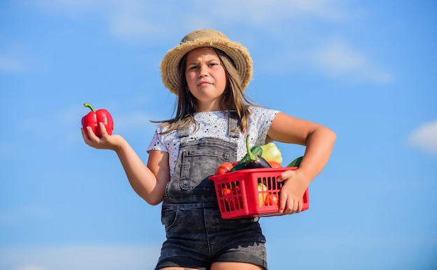 Kid work at farm Harvest season Child carry harvest Buy organic food Sunny day at farm Vegetables in basket Little helper concept Ripe veggies Family farm Girl adorable child farming