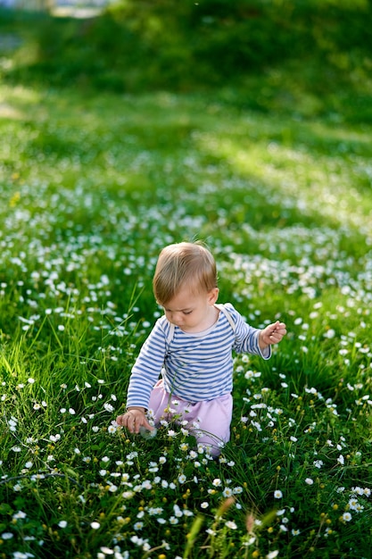 Kid zit op zijn knieën op een groen gazon met margrieten