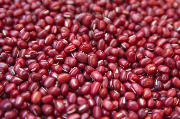 Photo kidney bean, red bean background