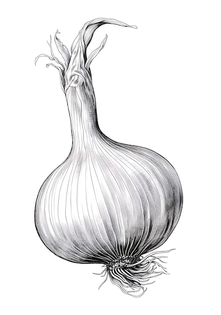 子供用の絵本 野菜のデザイン