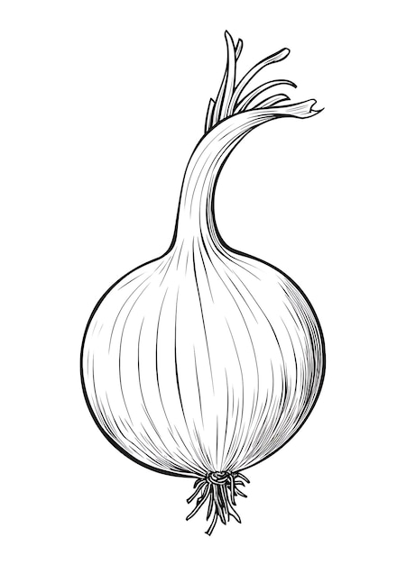 子供用の絵本 野菜のデザイン