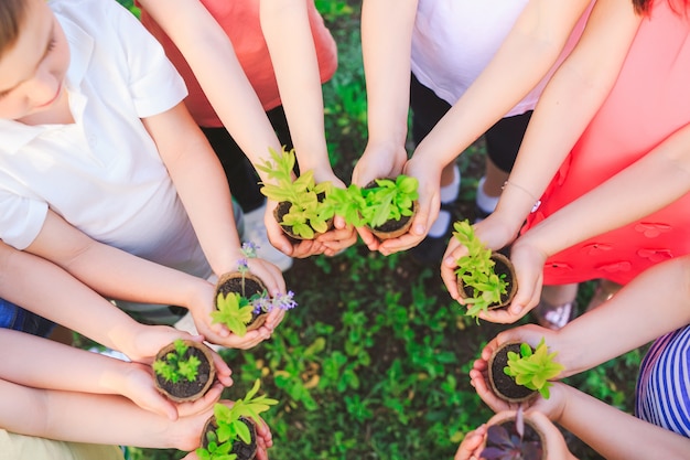 植木鉢に植物を保持している子供