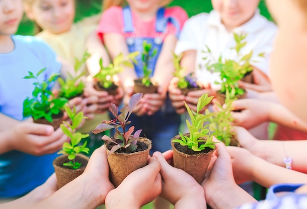 植木鉢に植物を保持している子供