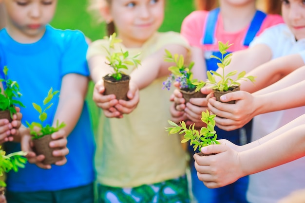 植木鉢に植物を保持している子供