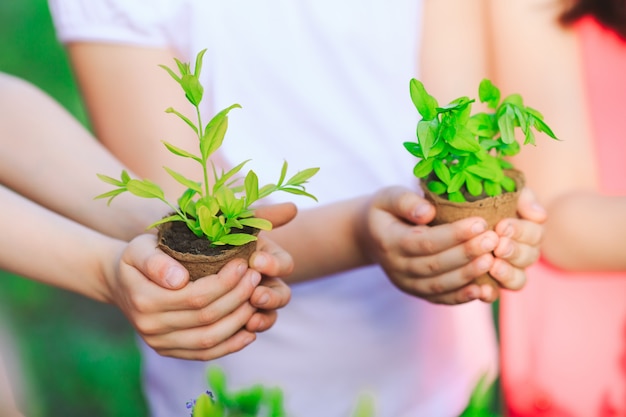 植木鉢に植物を保持している子供