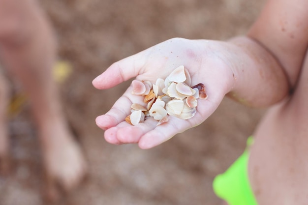 Kids playing with shells on the beach. childhood and sea air