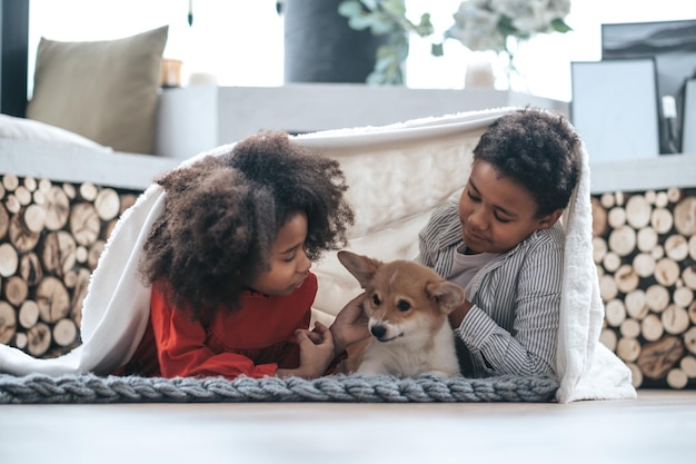 毛布をかけて子犬と遊ぶ子供たち