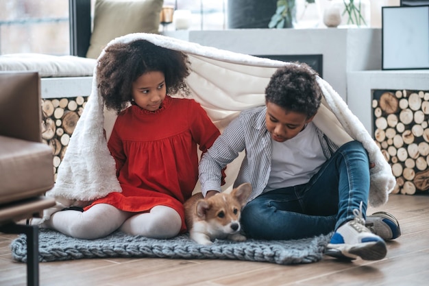 Kids put the blanket on and playing with a puppy