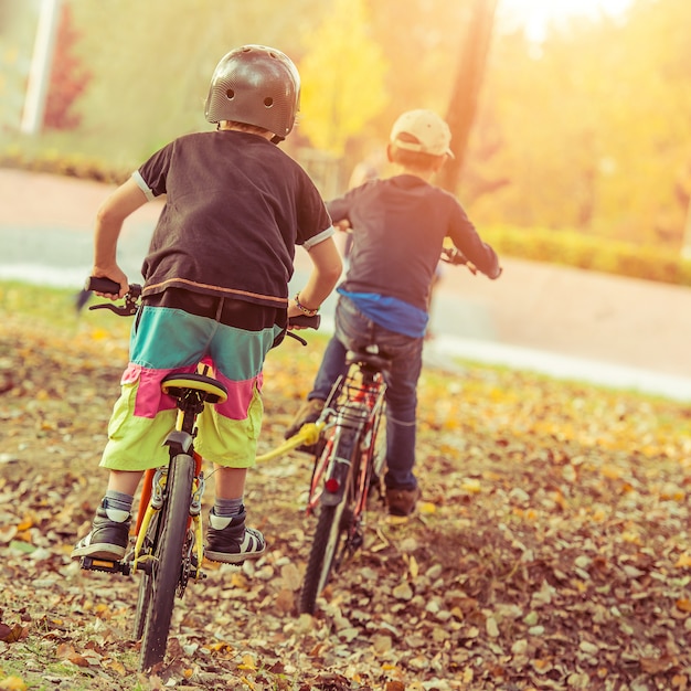 Kids riding bicycles in park