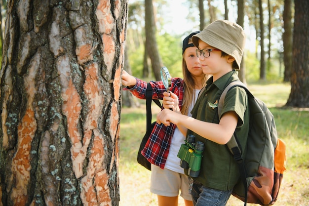 Kids scouts in the forest