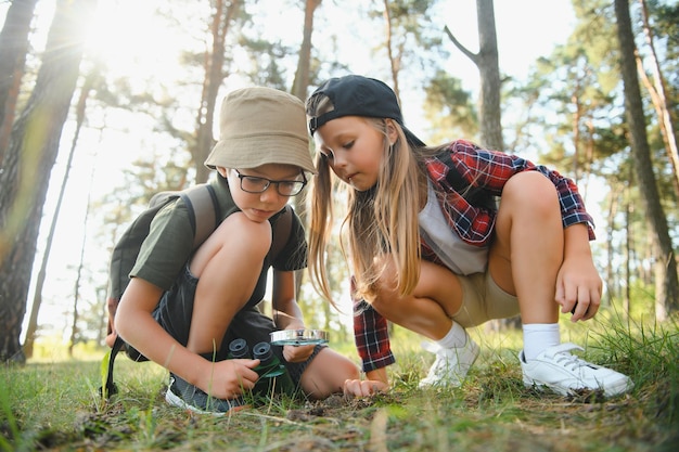 Kids scouts in the forest