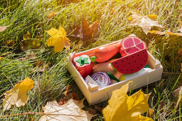 Kids toy wooden vegetables on the green grass close up childrens set of wooden vegetables in box