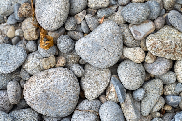 Kiesels op een strand in Tasmanië, Australië