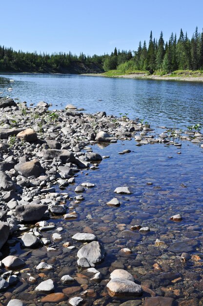 Kiezelrivier in de oeral