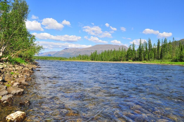 Kiezelrivier Nakta op het Putorana-plateau