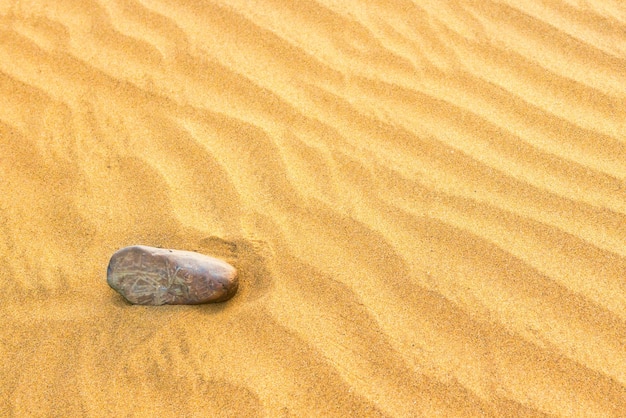 Kiezelsteen liggend op de textuur van gele zandduinen Kan worden gebruikt als natuurlijke achtergrond