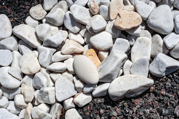 Kiezelstenen kleine witte stenen de textuur van de steen Bloembedontwerp tuindecor met groene plant