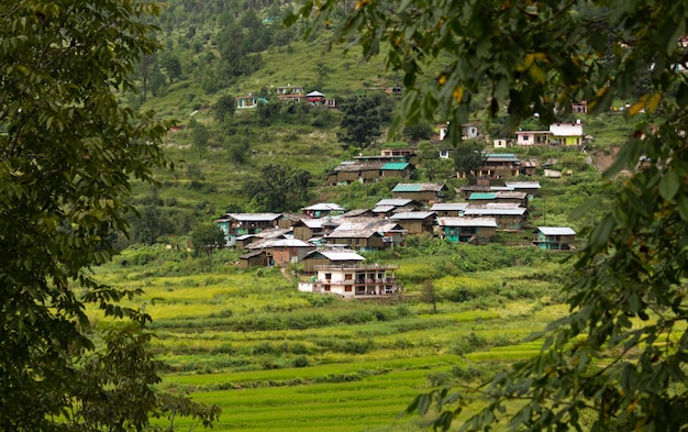 Kijk door boomtakken van landelijke dorpen van uttarakhand india met inlijstende velden