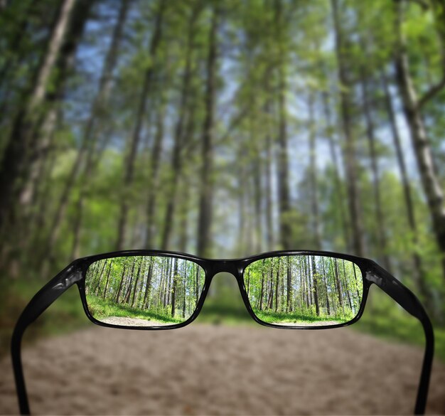 Kijk op het bos in de zomer door een bril visie concept