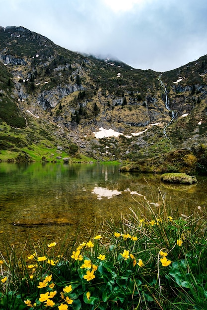 Kijk op het meer van Ayes, de waterval met boterbloembloemen op de voorgrond in de Franse Pyreneeën