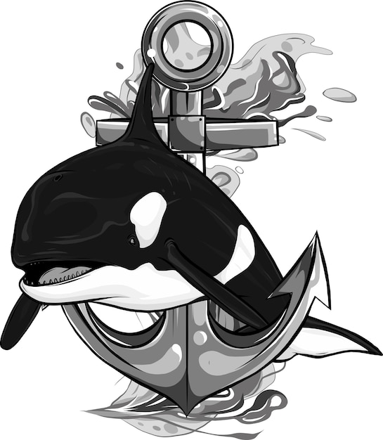 Killer Whale mascot and Anchor icon