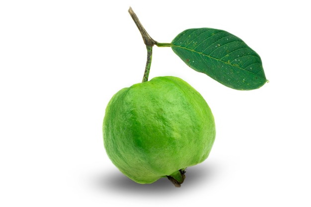 Kimchi Guava fruit met blad op witte achtergrond