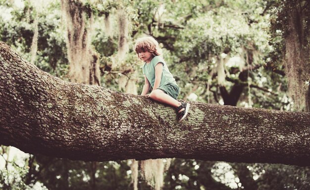 Kind dat een boom beklimt terwijl hij op een tak zit Schattige kleine jongen geniet van klimmen op een boom