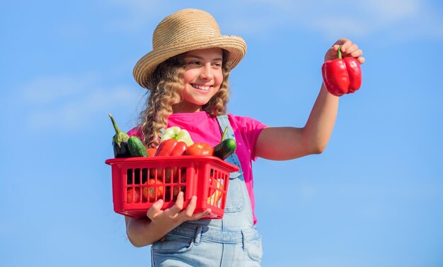 Kind draagt oogst hemelachtergrond Biologisch voedsel Zonnige dag op boerderij Groenten in mand Meisje schattig kind landbouw Zelfgekweekte groenten Natuurlijke vitamine voeding Gewassen oogst Oogstseizoen